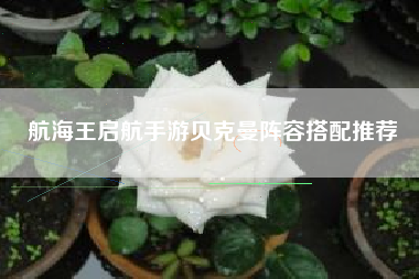 航海王启航手游贝克曼阵容搭配推荐