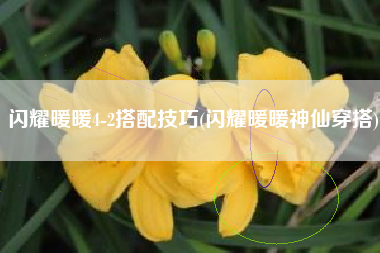 闪耀暖暖4-2搭配技巧(闪耀暖暖神仙穿搭)