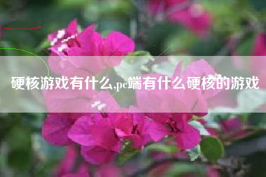 硬核游戏有什么,pc端有什么硬核的游戏