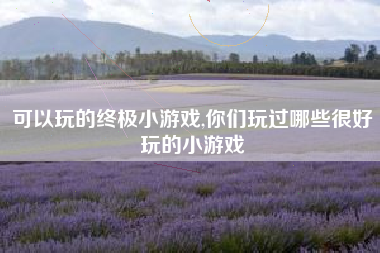 可以玩的终极小游戏,你们玩过哪些很好玩的小游戏