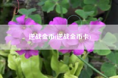 逆战金币(逆战金币卡)