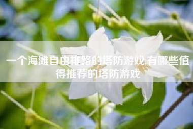一个海滩自由排路的塔防游戏,有哪些值得推荐的塔防游戏