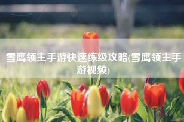 雪鹰领主手游快速练级攻略(雪鹰领主手游视频)