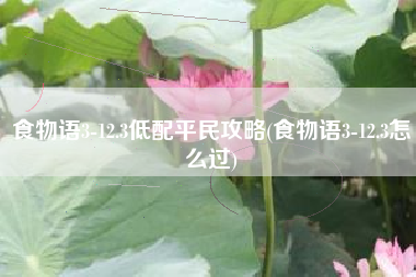 食物语3-12.3低配平民攻略(食物语3-12.3怎么过)