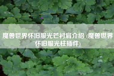 魔兽世界怀旧服光芒衬肩介绍 (魔兽世界怀旧服光柱插件)