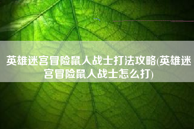 英雄迷宫冒险鼠人战士打法攻略(英雄迷宫冒险鼠人战士怎么打)
