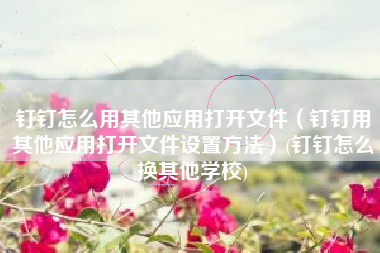 钉钉怎么用其他应用打开文件（钉钉用其他应用打开文件设置方法）(钉钉怎么换其他学校)
