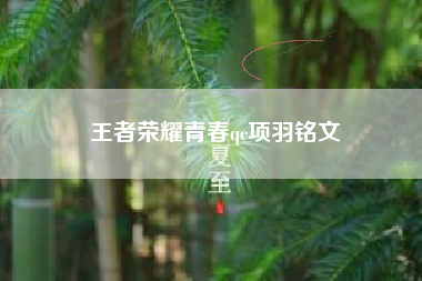 王者荣耀青春qc项羽铭文