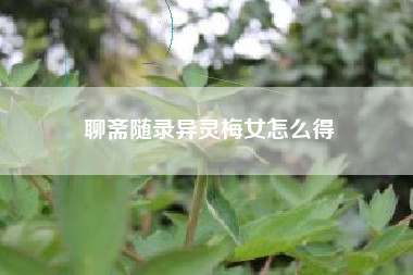 聊斋随录异灵梅女怎么得