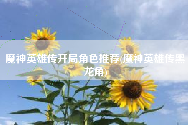 魔神英雄传开局角色推荐(魔神英雄传黑龙角)