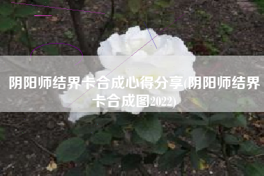 阴阳师结界卡合成心得分享(阴阳师结界卡合成图2022)
