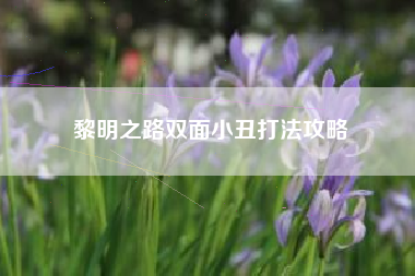 黎明之路双面小丑打法攻略