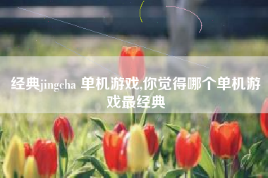 经典jingcha 单机游戏,你觉得哪个单机游戏最经典