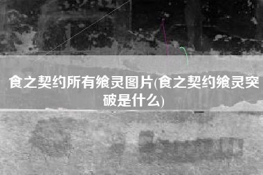 食之契约所有飨灵图片(食之契约飨灵突破是什么)