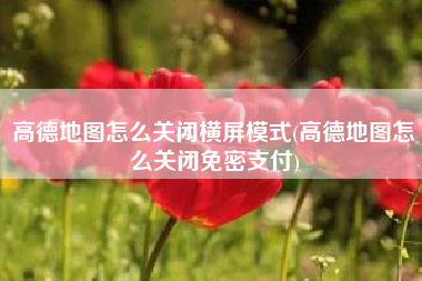 高德地图怎么关闭横屏模式(高德地图怎么关闭免密支付)