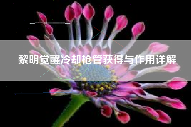 黎明觉醒冷却枪管获得与作用详解