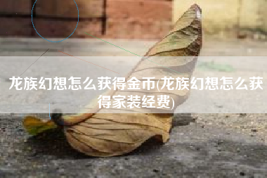 龙族幻想怎么获得金币(龙族幻想怎么获得家装经费)