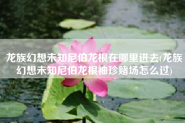 龙族幻想未知尼伯龙根在哪里进去(龙族幻想未知尼伯龙根袖珍赌场怎么过)