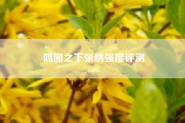鸿图之下张绣强度评测