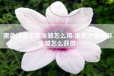 黑色沙漠手游坐骑怎么得(黑色沙漠手游坐骑怎么获得)