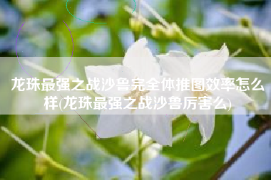 龙珠最强之战沙鲁完全体推图效率怎么样(龙珠最强之战沙鲁厉害么)