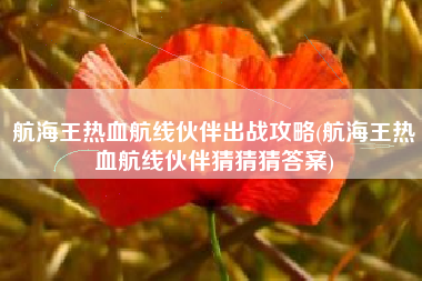 航海王热血航线伙伴出战攻略(航海王热血航线伙伴猜猜猜答案)