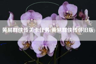 黄易群侠传关卡任务(黄易群侠传怀旧版)