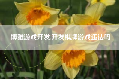 博雅游戏开发,开发棋牌游戏违法吗