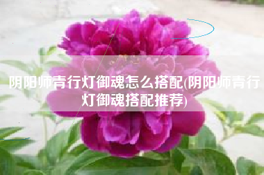 阴阳师青行灯御魂怎么搭配(阴阳师青行灯御魂搭配推荐)