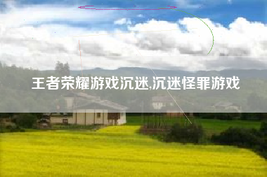 王者荣耀游戏沉迷,沉迷怪罪游戏