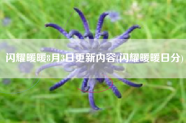 闪耀暖暖8月3日更新内容(闪耀暖暖日分)