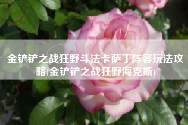 金铲铲之战狂野斗法卡萨丁阵容玩法攻略(金铲铲之战狂野海克斯)