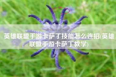 英雄联盟手游卡萨丁技能怎么连招(英雄联盟手游卡萨丁教学)