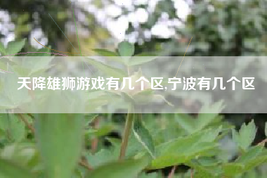 天降雄狮游戏有几个区,宁波有几个区
