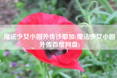 魔法少女小圆外传沙耶加(魔法少女小圆外传百度网盘)