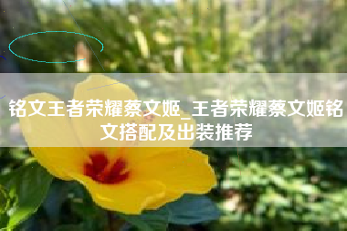 铭文王者荣耀蔡文姬_王者荣耀蔡文姬铭文搭配及出装推荐