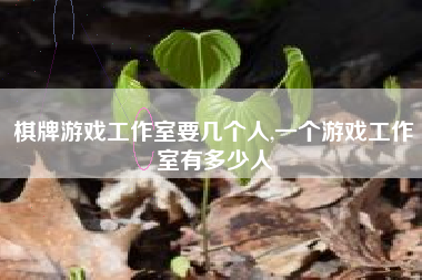 棋牌游戏工作室要几个人,一个游戏工作室有多少人