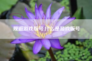 规避游戏版号,什么是游戏版号