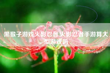 黑猴子游戏火影忍者,火影忍者手游算大型游戏吗