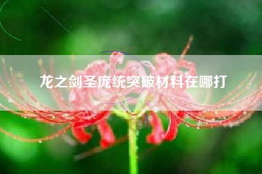 龙之剑圣庞统突破材料在哪打