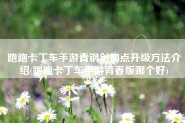 跑跑卡丁车手游青钢剑加点升级方法介绍(跑跑卡丁车手游青春版哪个好)