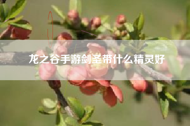 龙之谷手游剑圣带什么精灵好