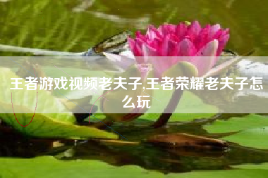 王者游戏视频老夫子,王者荣耀老夫子怎么玩