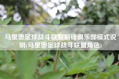 马里奥足球战斗联盟前锋俱乐部模式说明(马里奥足球战斗联盟角色)