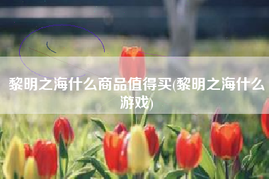 黎明之海什么商品值得买(黎明之海什么游戏)