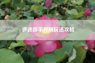 道途新手开局玩法攻略