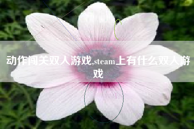 动作闯关双人游戏,steam上有什么双人游戏