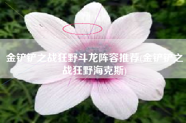 金铲铲之战狂野斗龙阵容推荐(金铲铲之战狂野海克斯)
