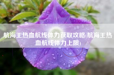 航海王热血航线体力获取攻略(航海王热血航线体力上限)
