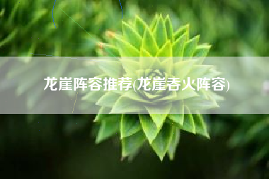 龙崖阵容推荐(龙崖吞火阵容)